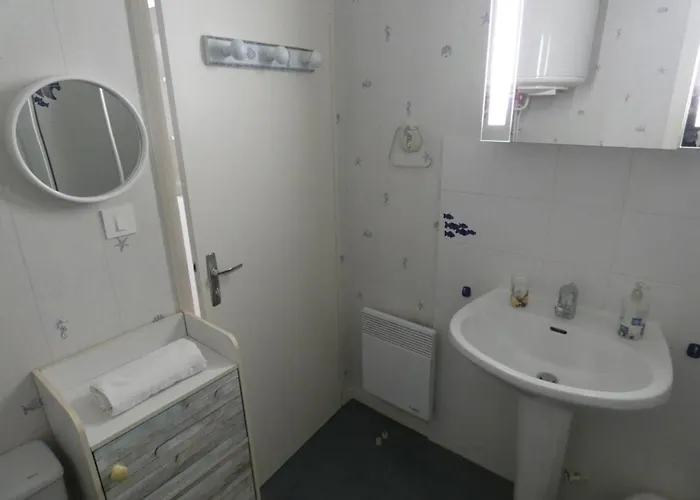 Rdc 38m², 4 Pers, Animaux Acceptes A Dame De Monts - Fr-1-540-250 * Notre-Dame-de-Monts