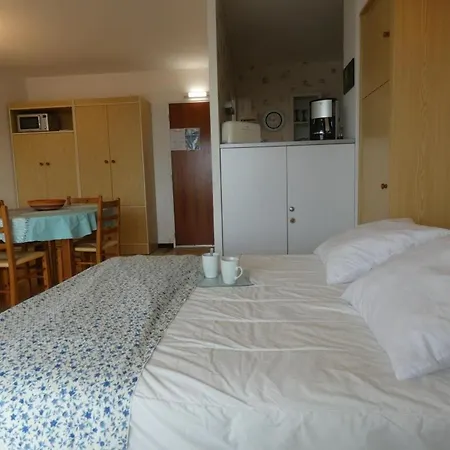 Rdc 38m², 4 Pers, Animaux Acceptés à Dame De Monts - Fr-1-540-250 Notre-Dame-de-Monts