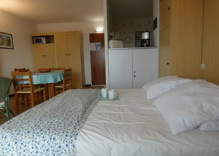 Rdc 38m², 4 Pers, Animaux Acceptés à Dame De Monts - Fr-1-540-250 Notre-Dame-de-Monts